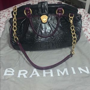 Brahmin Purse